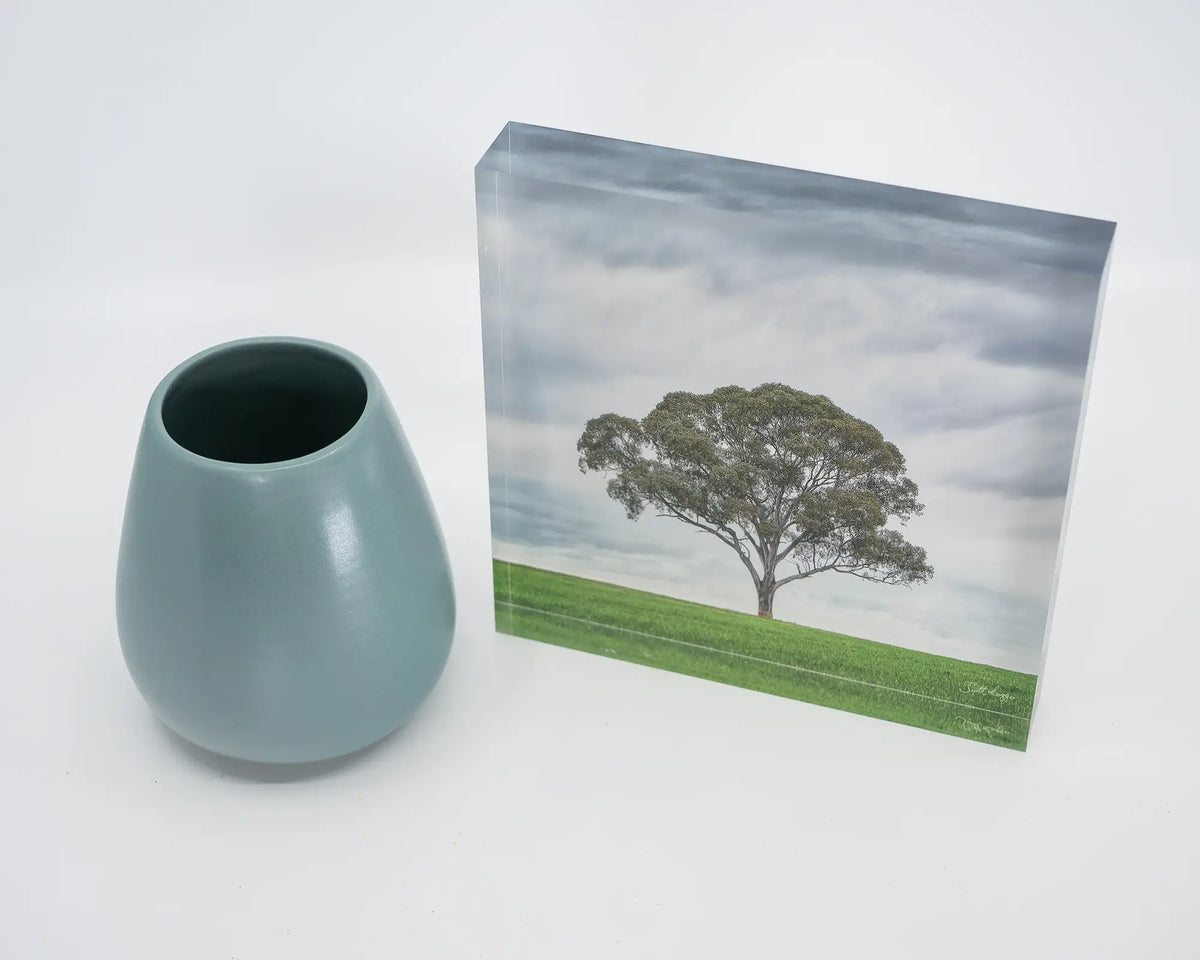 Solo. Gum Tree acrylic block, Wombat, New South Wales, on desk styled with a small vase.