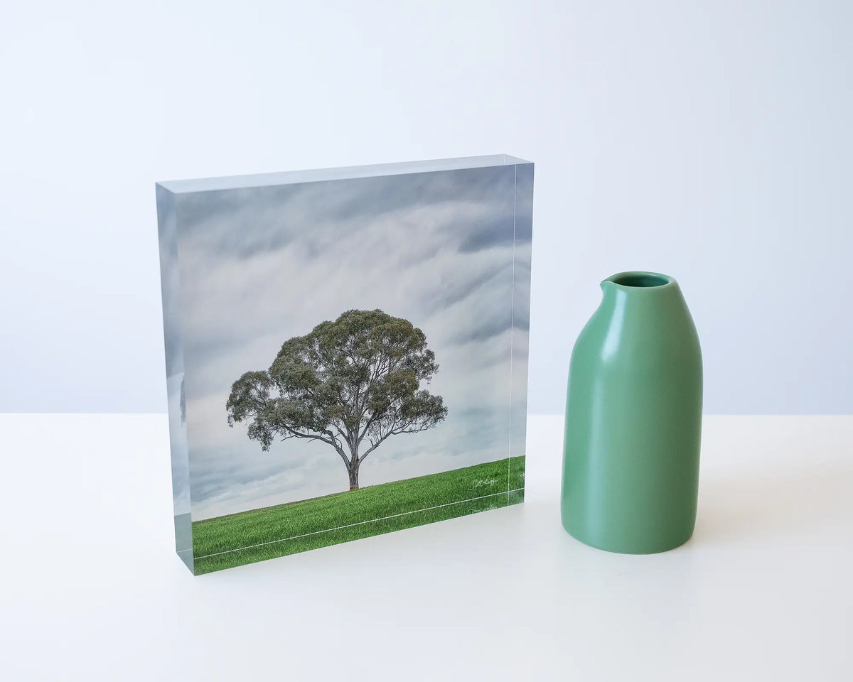Solo. Gum Tree acrylic block, Wombat, New South Wales, styled with a small vase.