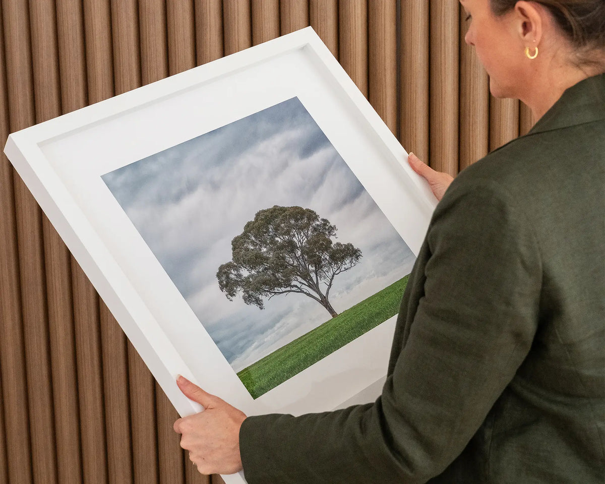 Solo. Single gum tree 60cm print with white frame, held in hands.