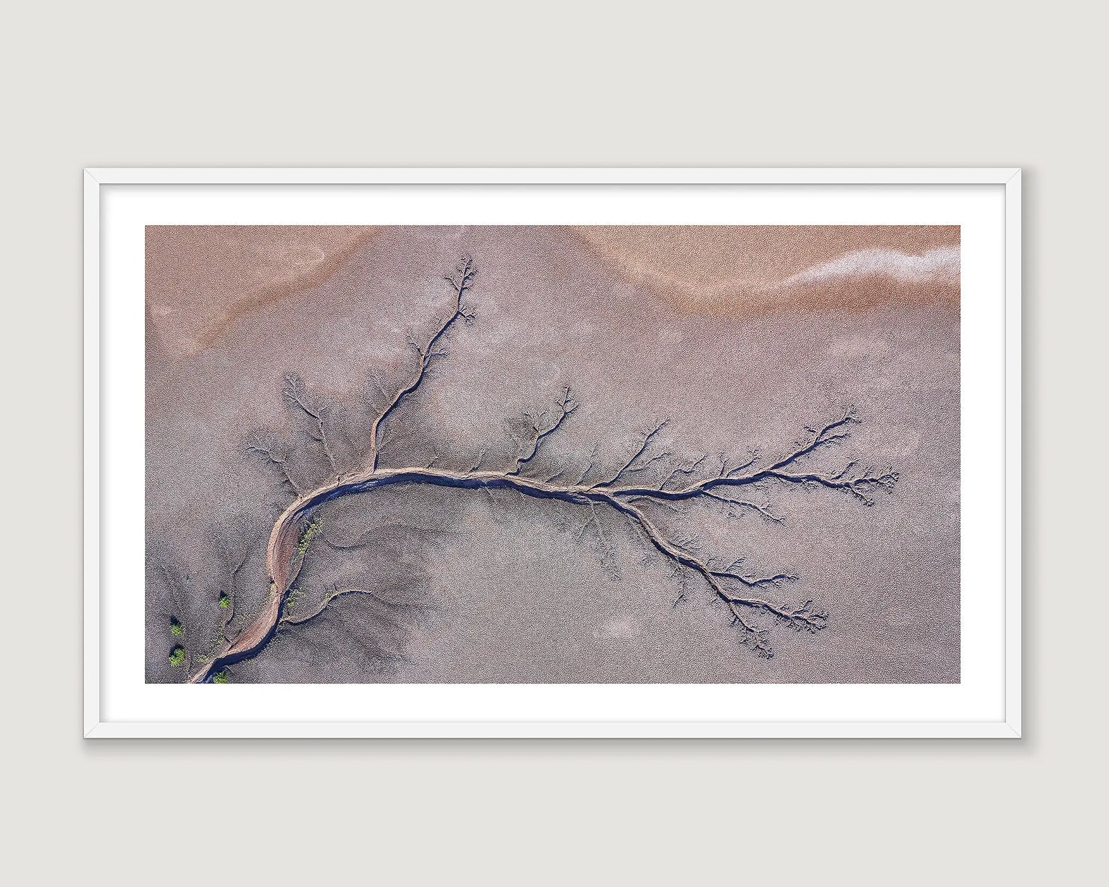 Framed abstract photograph with muted earthy tones.