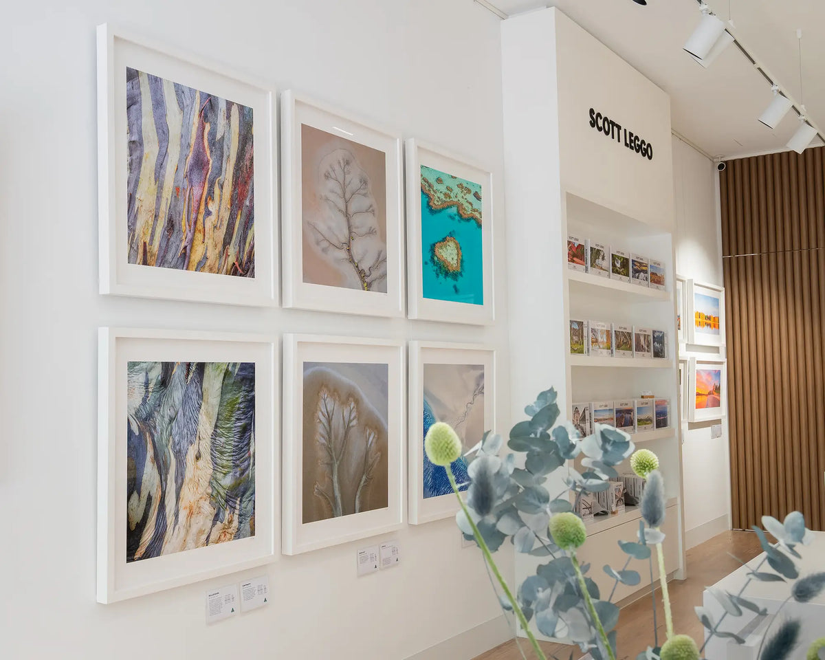 Spread. Abstract artwork of tidal patterns, Cambridge Gulf, The Kimberley, with white frame on gallery wall.