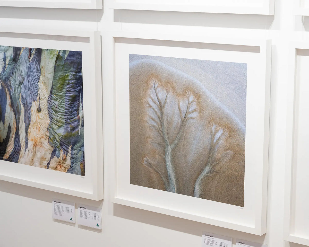 Spread. Tidal patterns Cambridge Gulf, The Kimberley, with whtie frame on gallery wall.