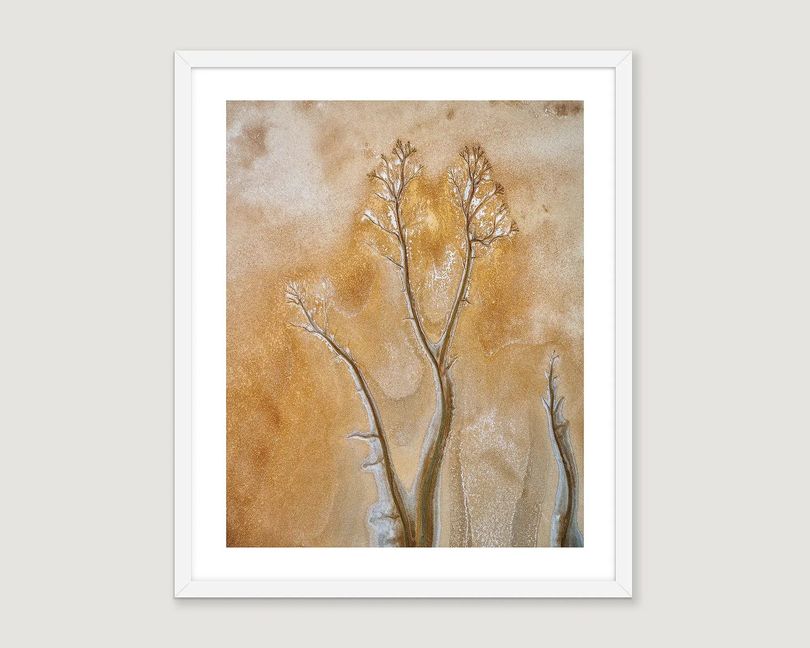 Framed abstract photograph with earthy tones and a tree pattern.