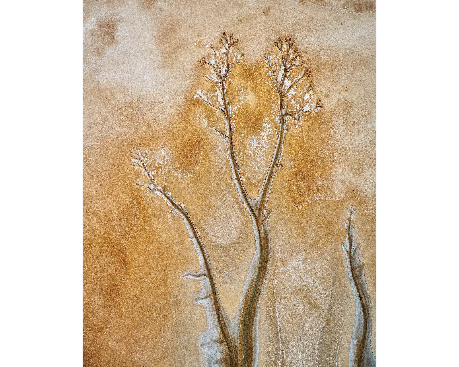 Patterns in mud flats, King River, The Kimberley, Western Australia.