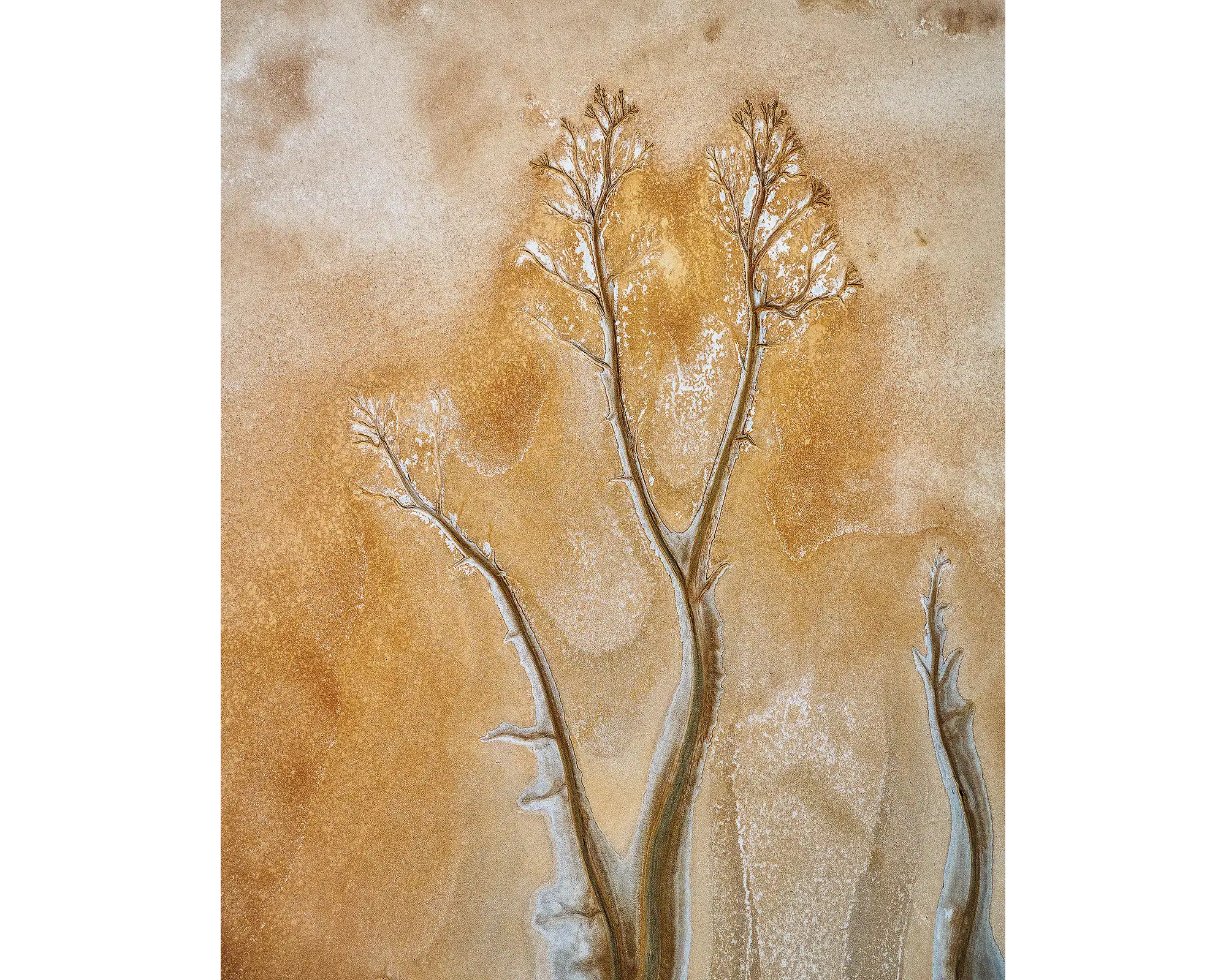 Patterns in mud flats, King River, The Kimberley, Western Australia.