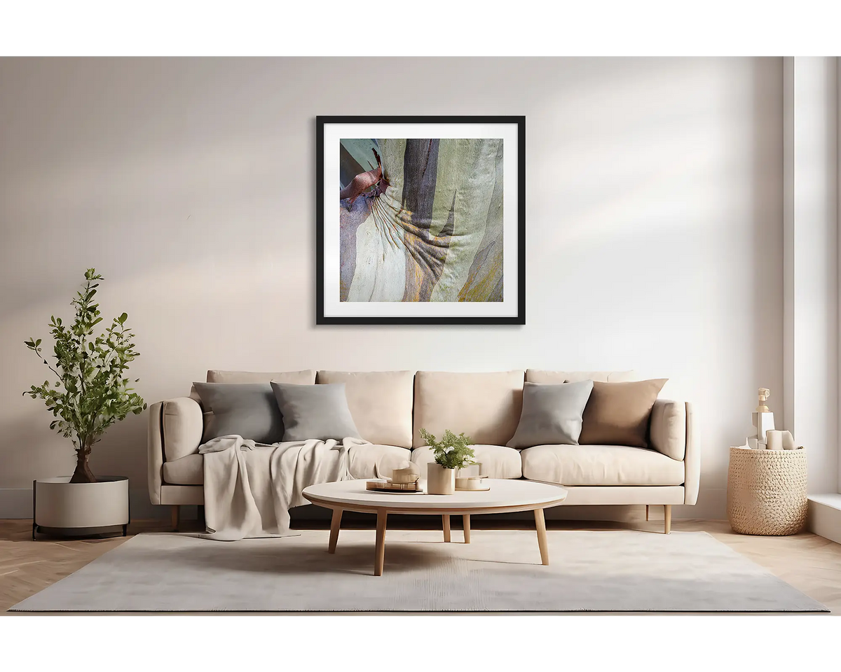 Squish. Abstract wall art print of snow gum bark with a black fame, hung above a couch.  