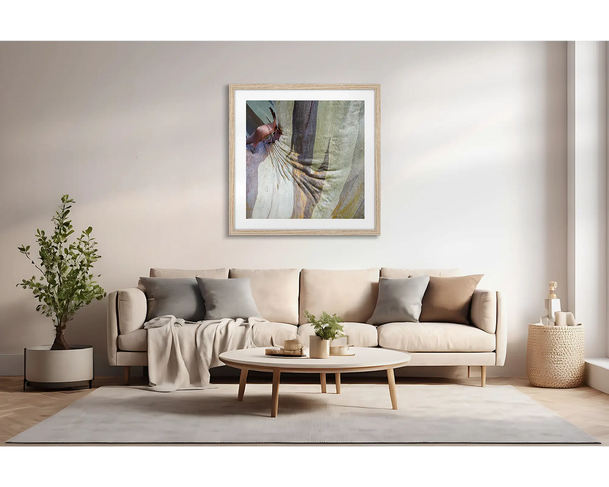 Squish. Abstract wall art print of snow gum bark with a timber fame, hung above a couch. 