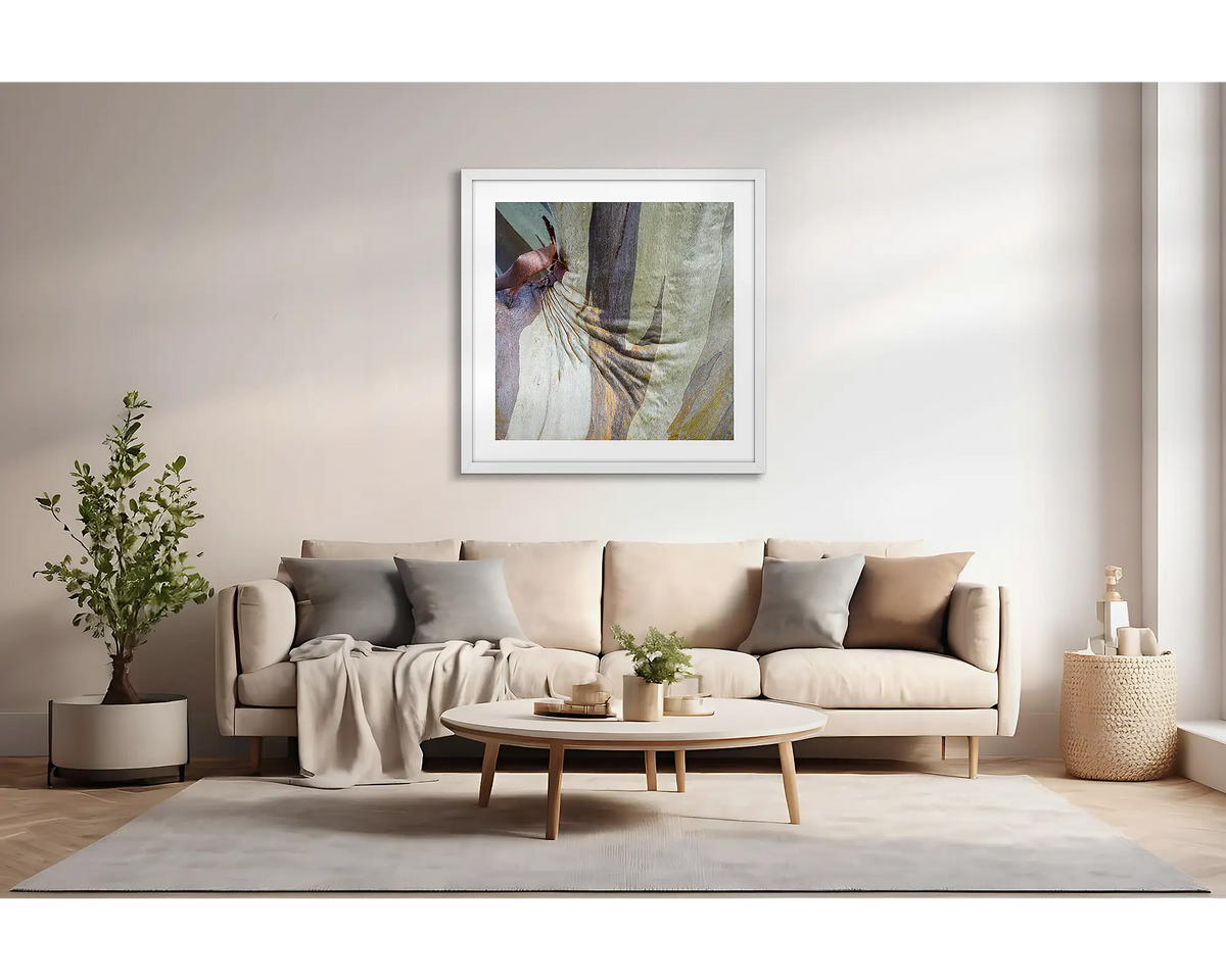 Squish. Abstract wall art print of snow gum bark with a white fame, hung above a couch. 