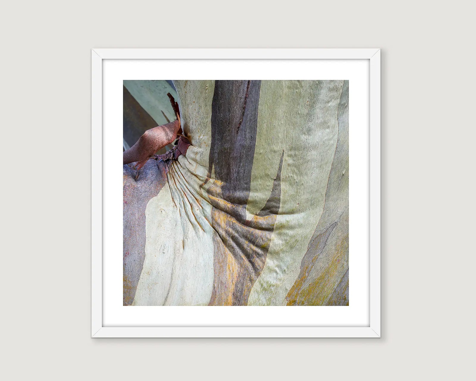 Framed abstract art print of a snow gum tree on a white wall.