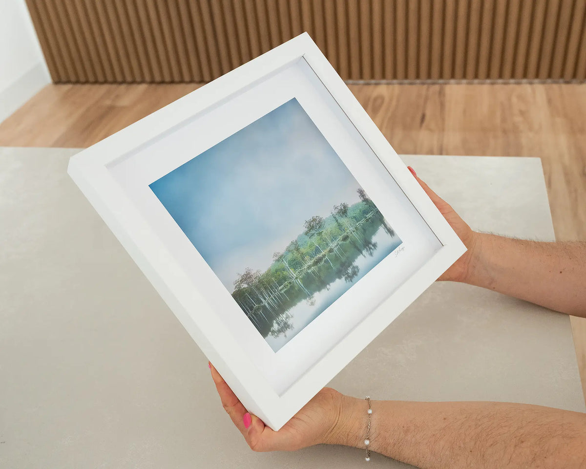 Still Standing. Fog rising over trees at Franklin-Gordon Wild Rivers National Park, Tasmania, with white frame being hand held.