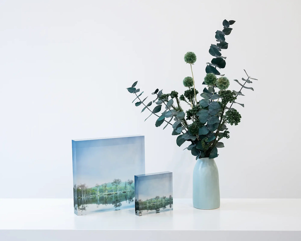 Still Standing. Franklin Gordon Wild Rivers National Park, 10cm and 19cm acrylic blocks, styled with flower vase.