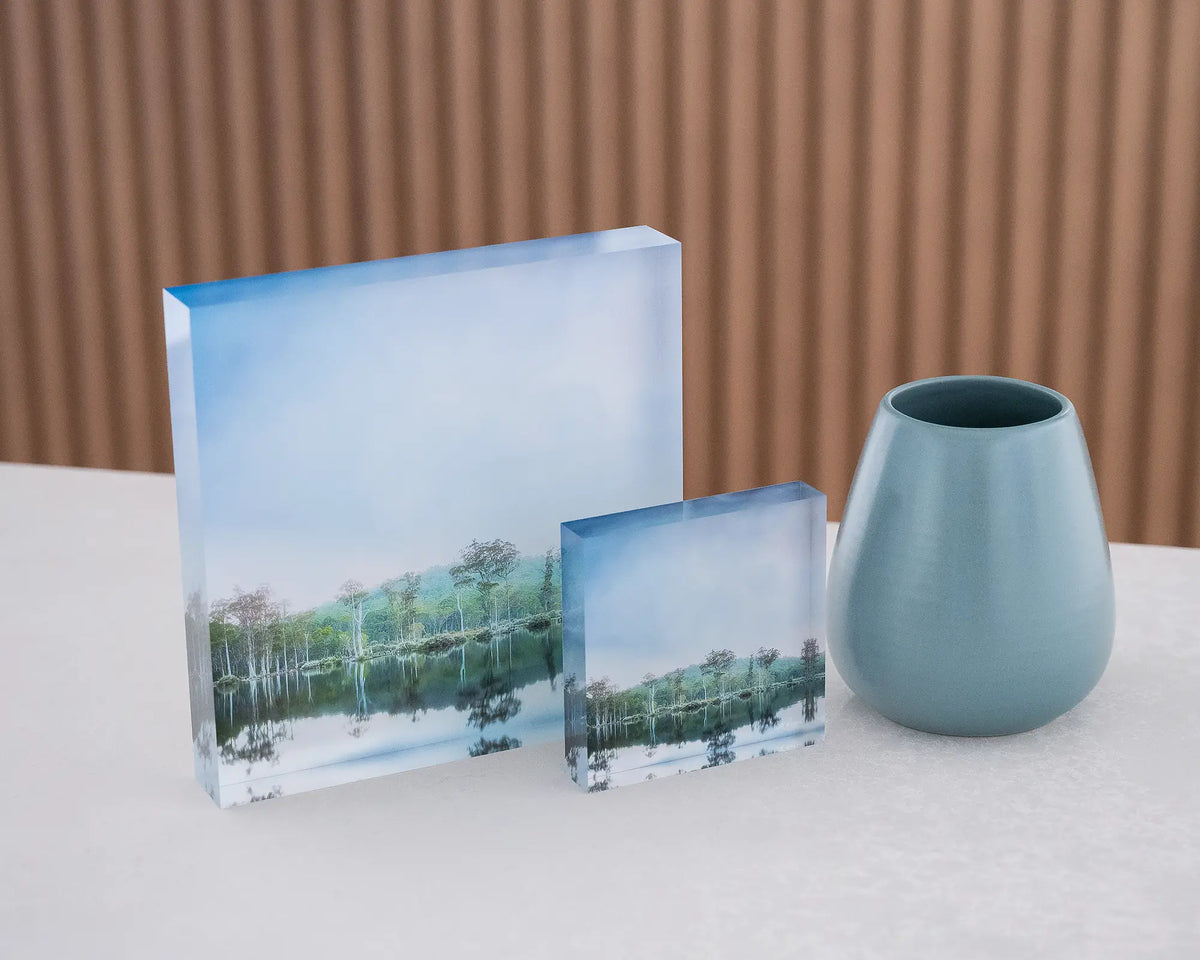 Still Standing. Franklin Gordon Wild Rivers National Park, 10cm and 19cm acrylic blocks, styled with vase.