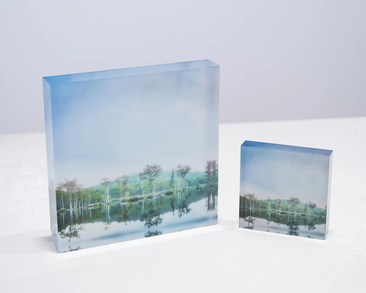 Still Standing. Franklin Gordon Wild Rivers National Park, Tasmania, 10cm and 19cm acrylic blocks. 
