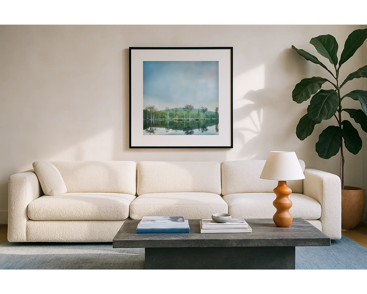 Still Standing. Wall art print Gordon Franklin National Park, Tasmania, with a black frame hung in a sunlit lounge room. 