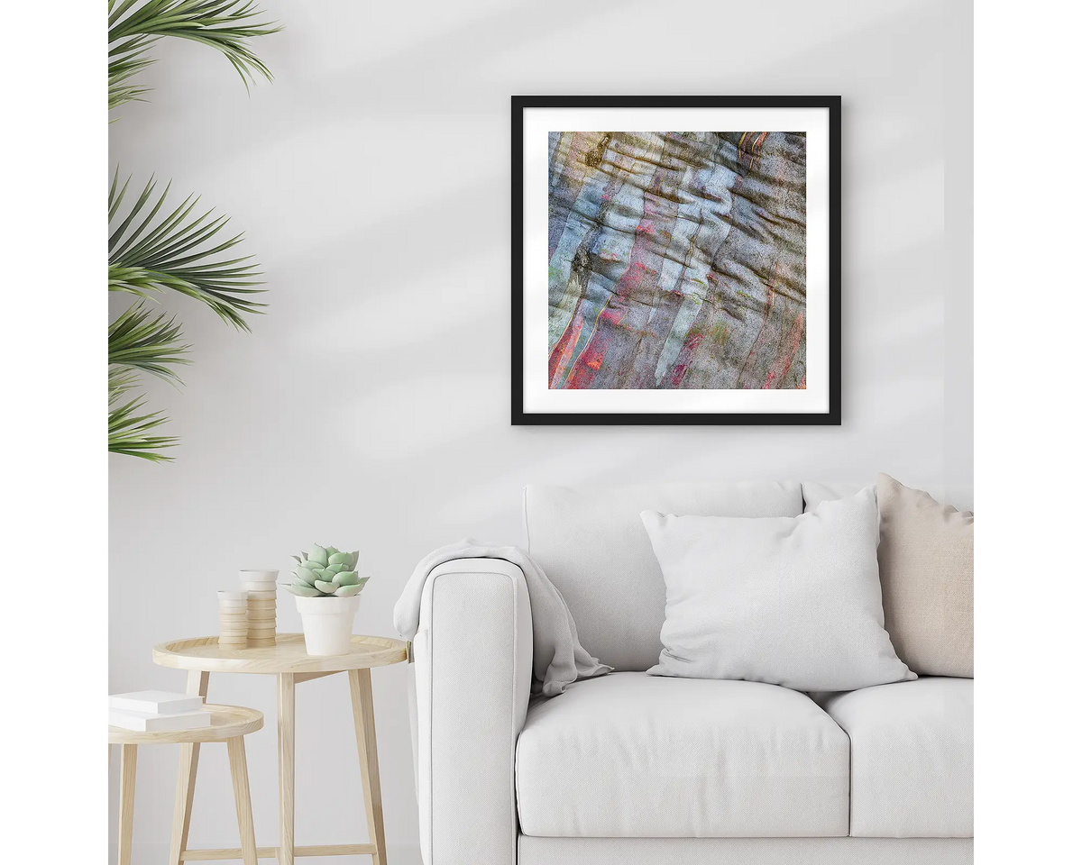 Stirling Colours. Abstract wall art print of snow gum bark, with a black frame, hung above a couch. 