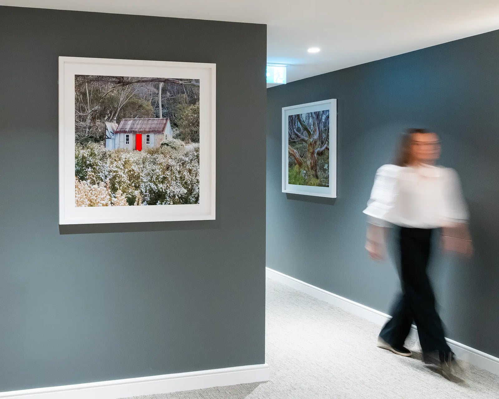Framed landscape photography of Horse Camp Hut with snow on greenery.