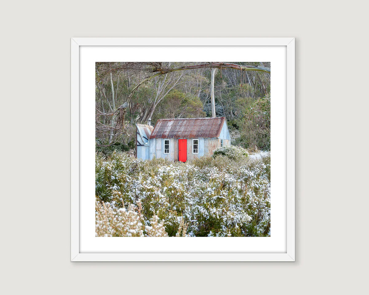 Framed landscape photography of Horse Camp Hut with snow on greenery.