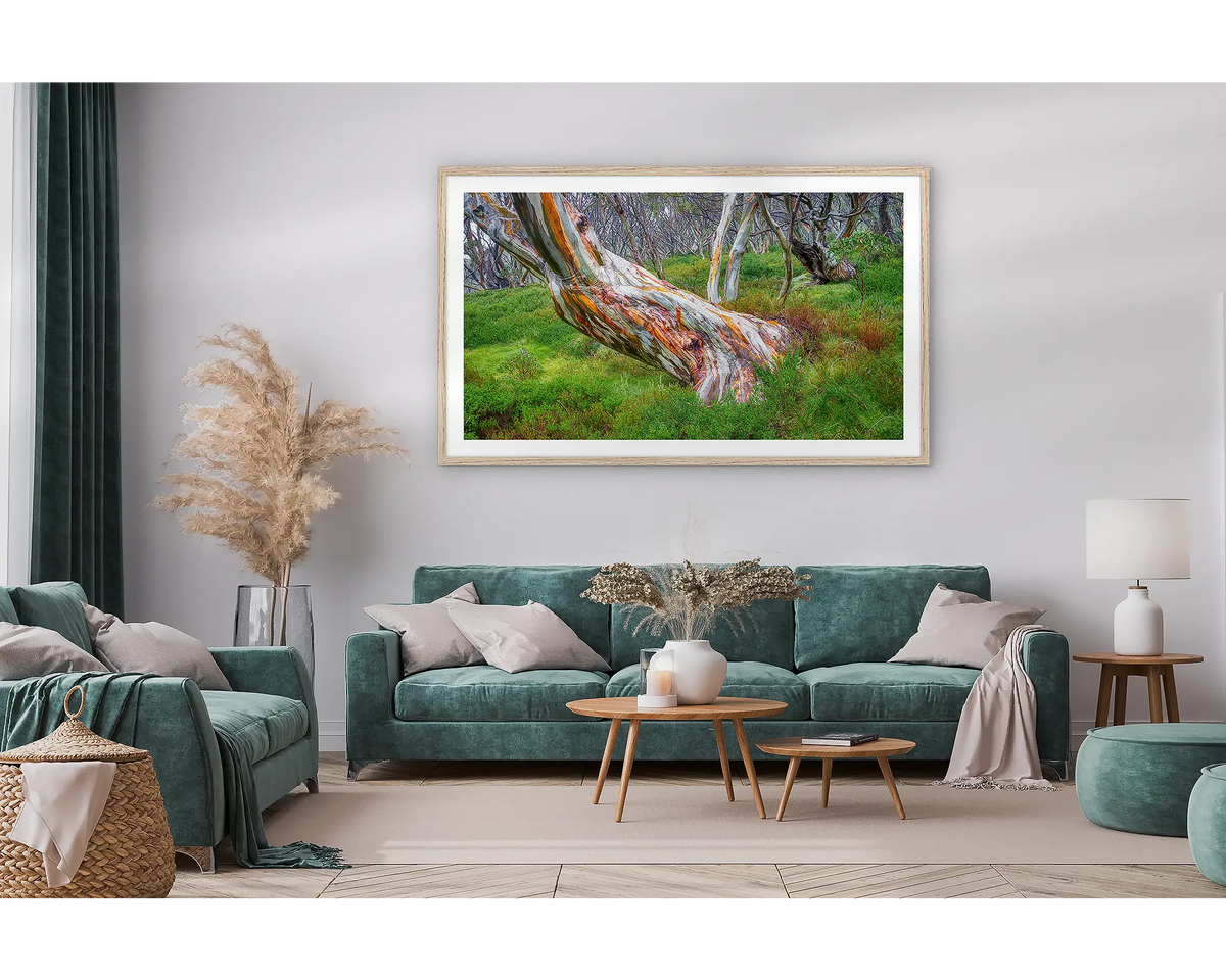 Strength. Framed wall art print of snow gum branches covered in snow, with a timber frame and hung in a lounge room. 