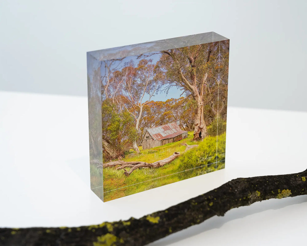 Summer In The High Country. Acrylic block of Wallace Hut, Victoria, with fallen twig in foreground.