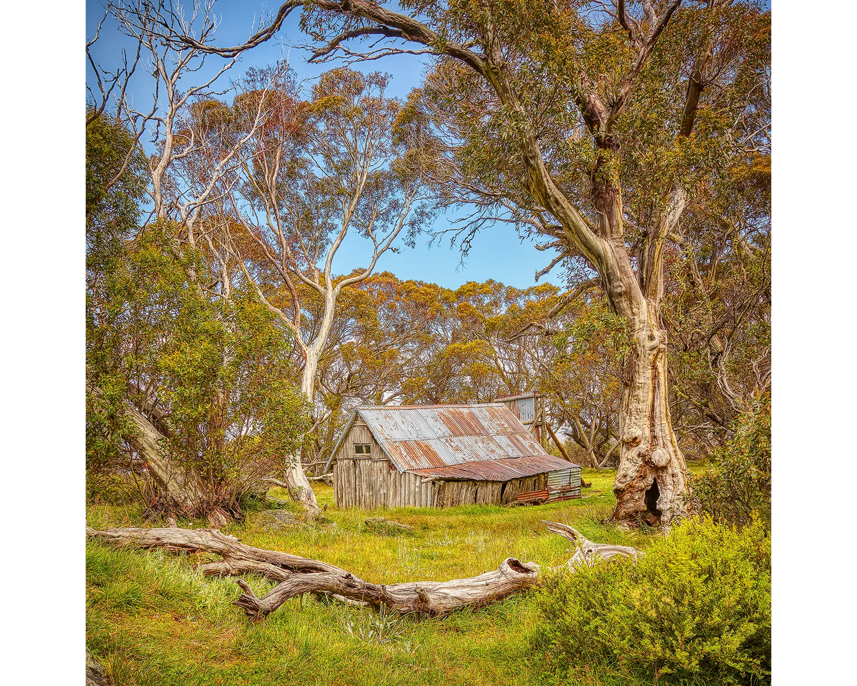 Summer In The High Country. Alpine National Park, Wallaces Hut, Victoria, Australia.