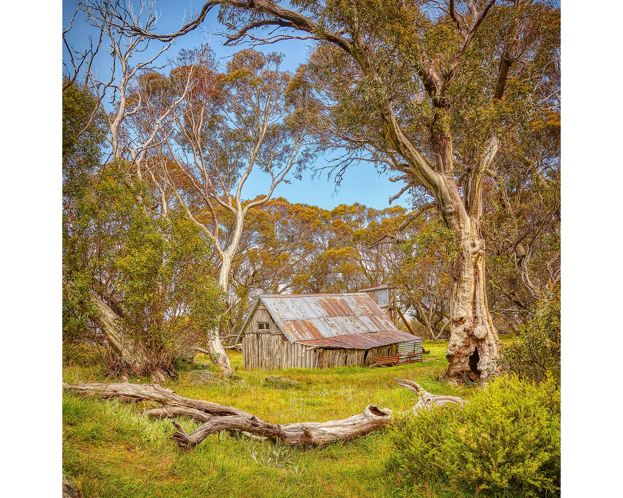 Summer In The High Country. Alpine National Park, Wallaces Hut, Victoria, Australia.
