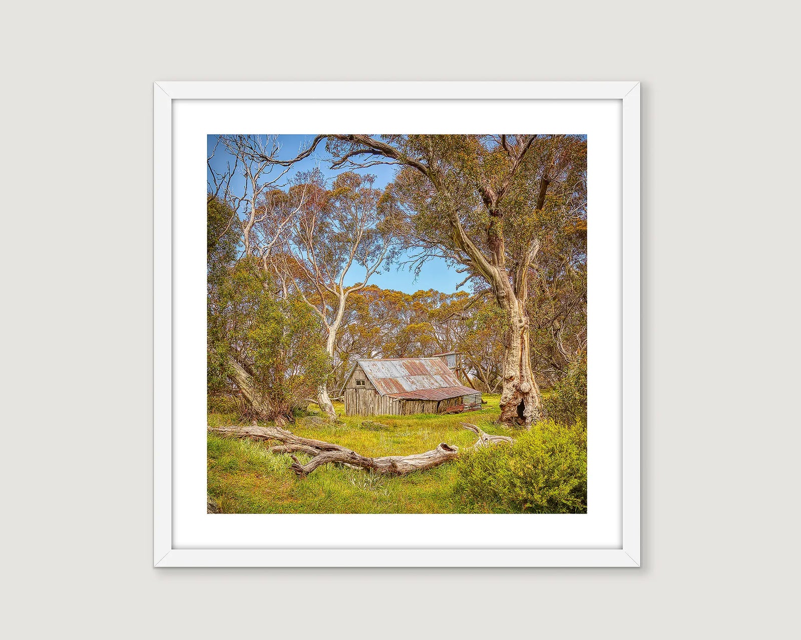 Framed photograph of a rustic Wallace Hut in a forest setting with a white frame.