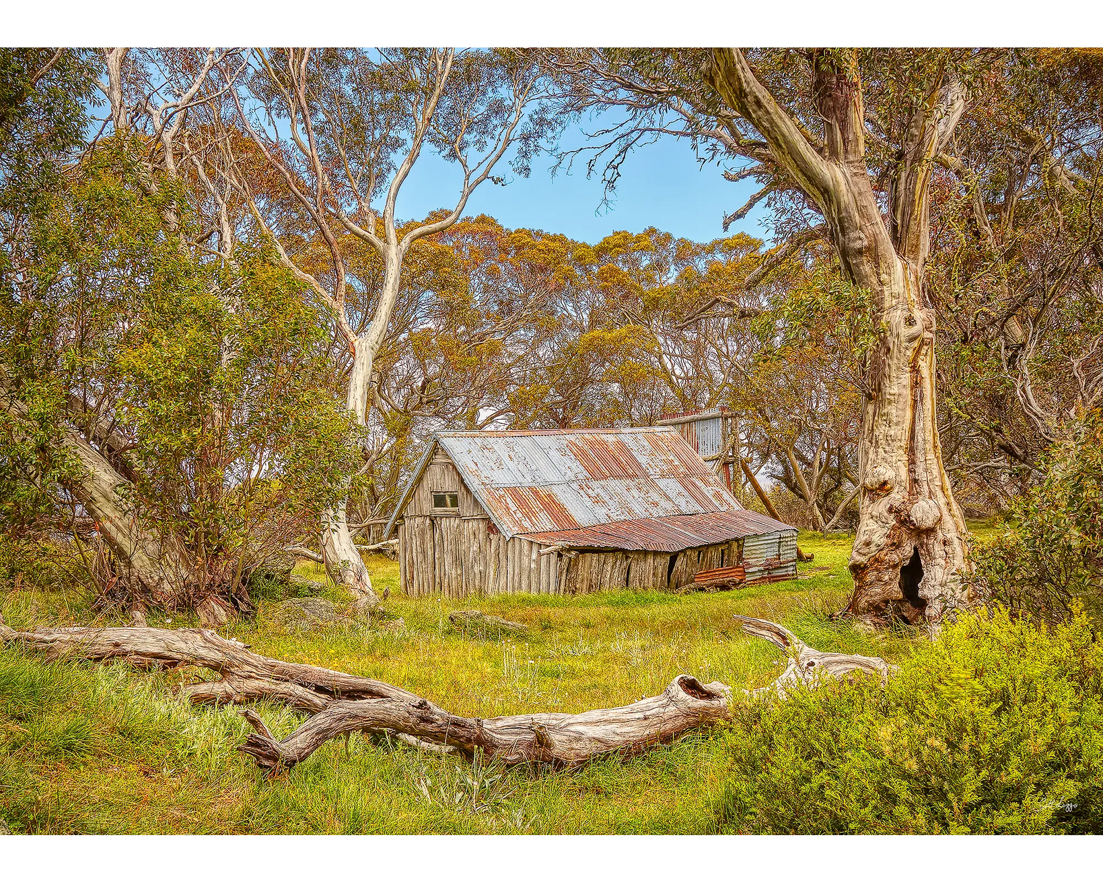 Summer In The High Country 1000 piece jigsaw puzzle box