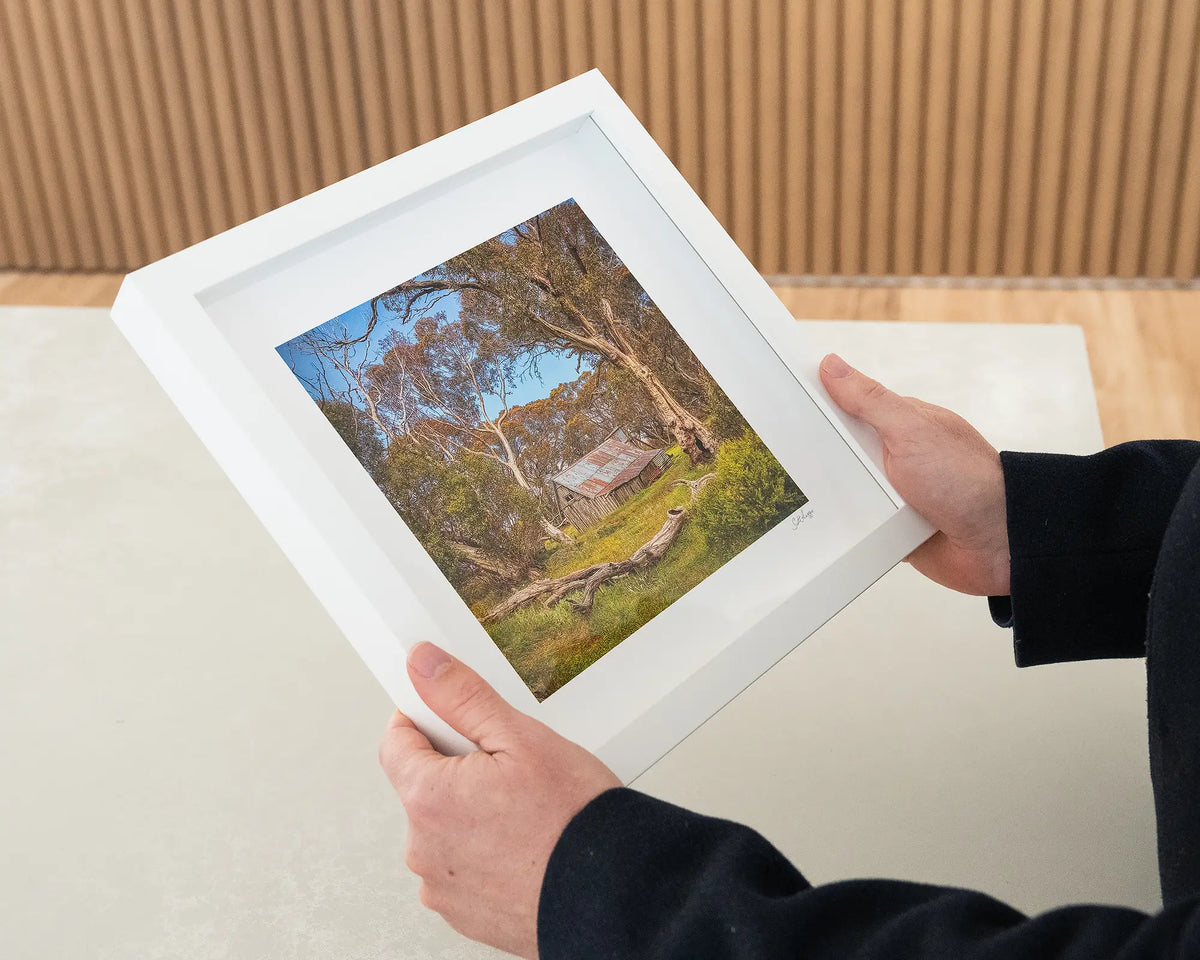 Summer in the High Country. Wallace Hut, Victoria, small framed print with white frame being hand held.