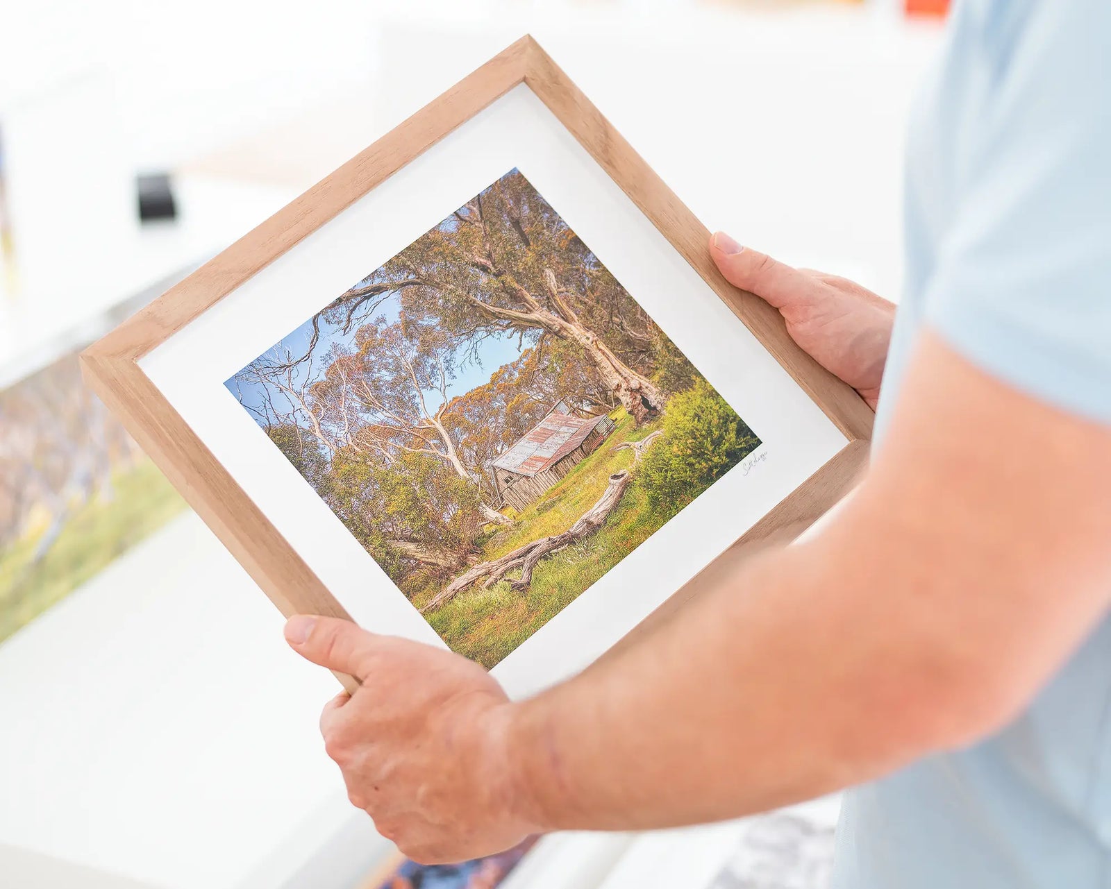 Framed photograph of a rustic Wallace Hut in a forest setting with a white frame.