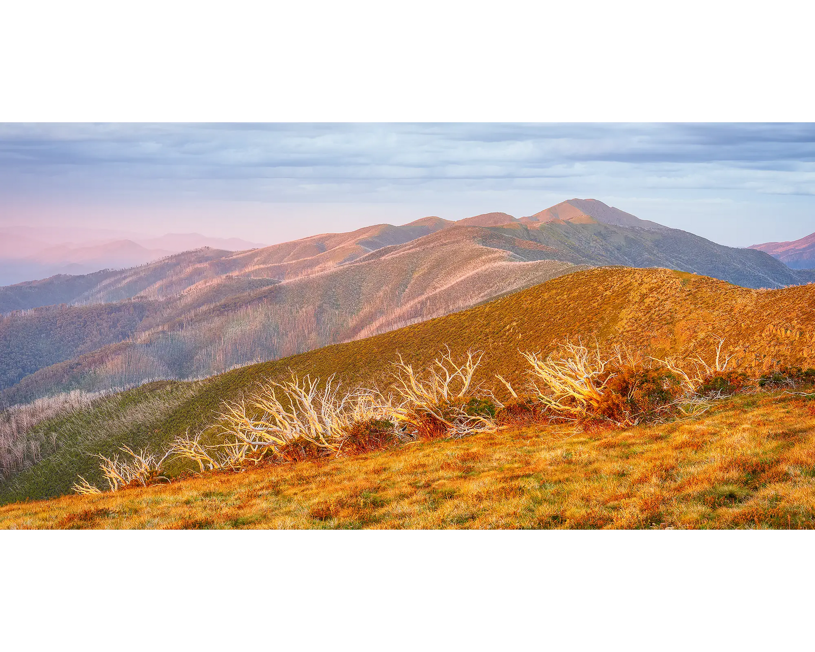 Mountainous landscape with bare trees and mountains in the background