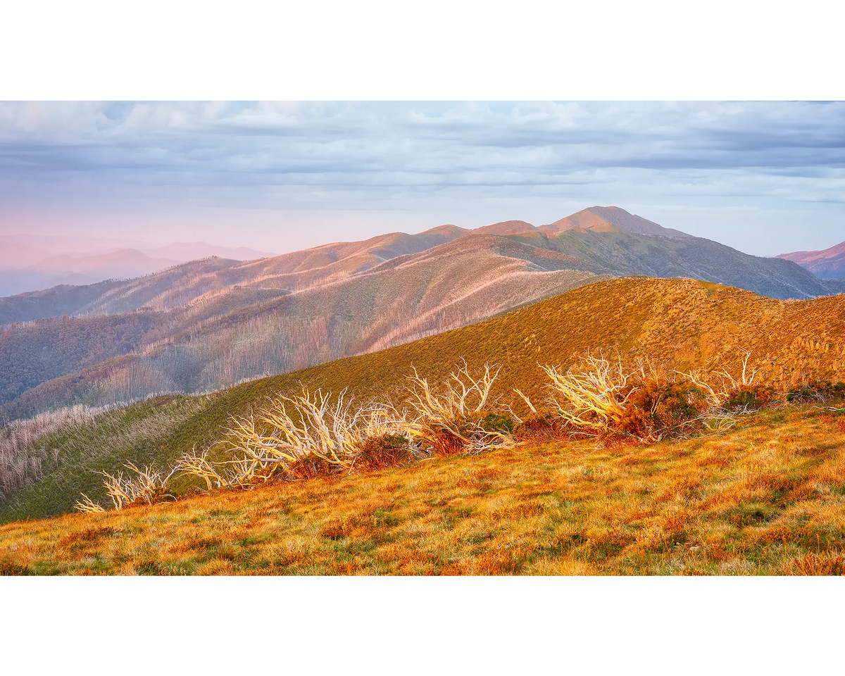 Summer Light. Sunset view across Razorback to Mount Feathertop.