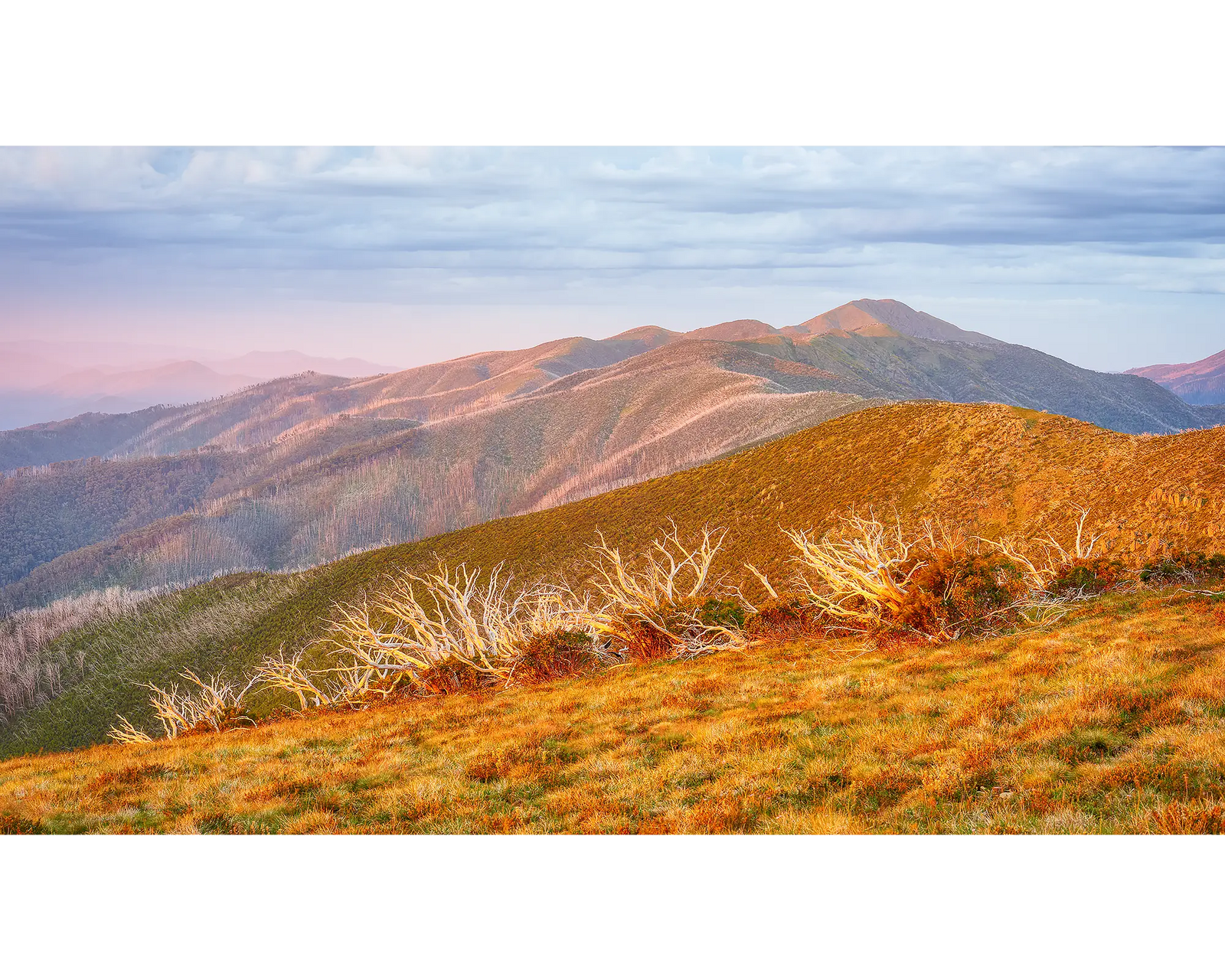 Summer Light. Sunset view across Razorback to Mount Feathertop.