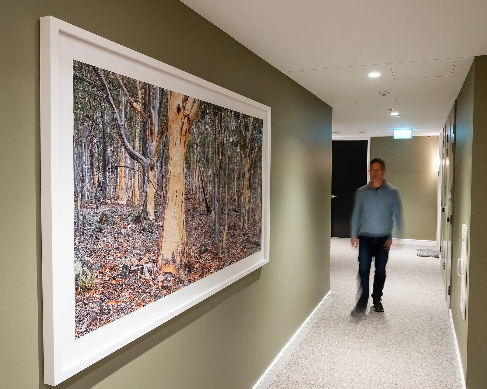 Framed photograph of a forest with trees and underbrush on a light grey background.