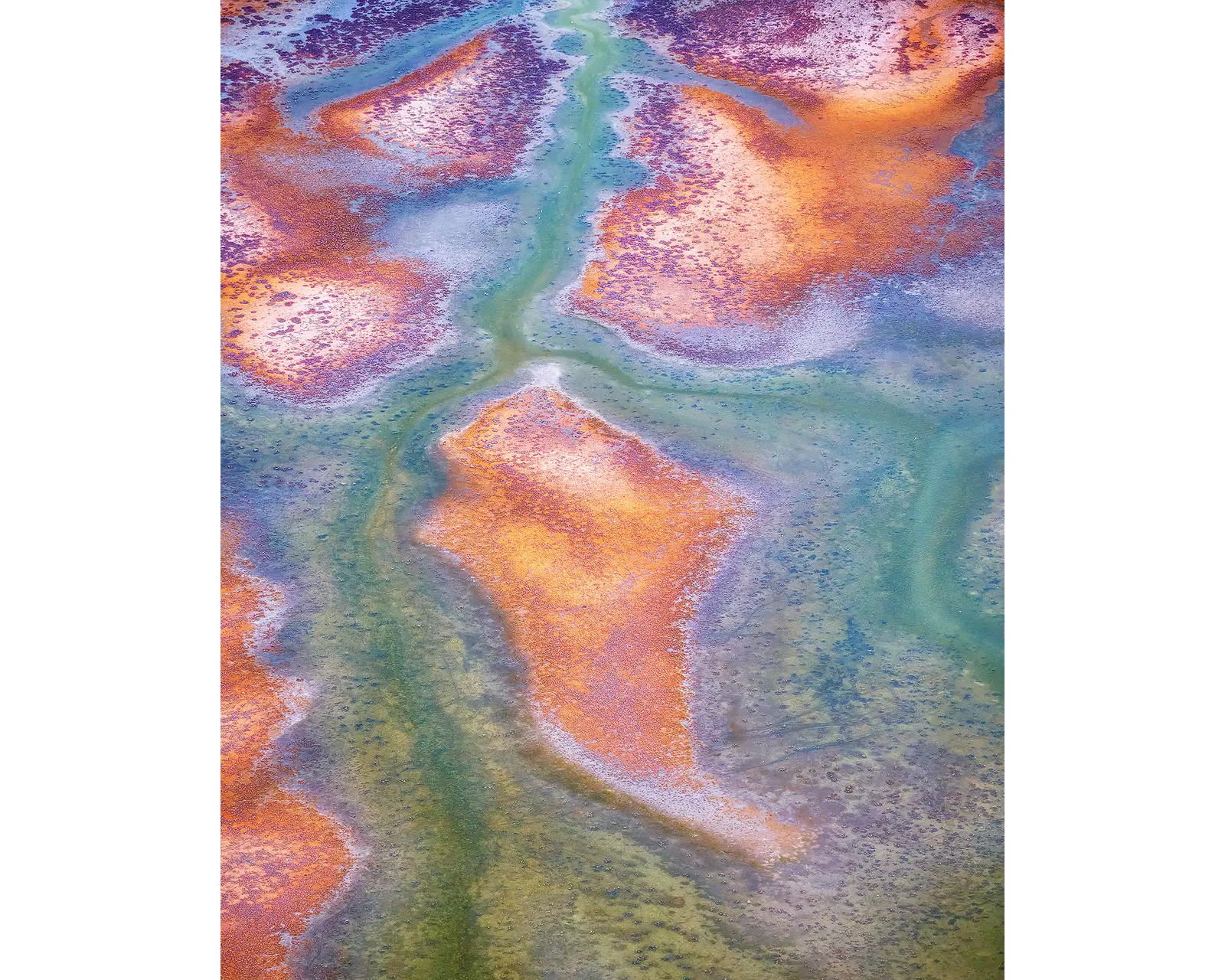 Surface - King tide viewed from above Roebuck Plains, The Kimberley, Western Australia.