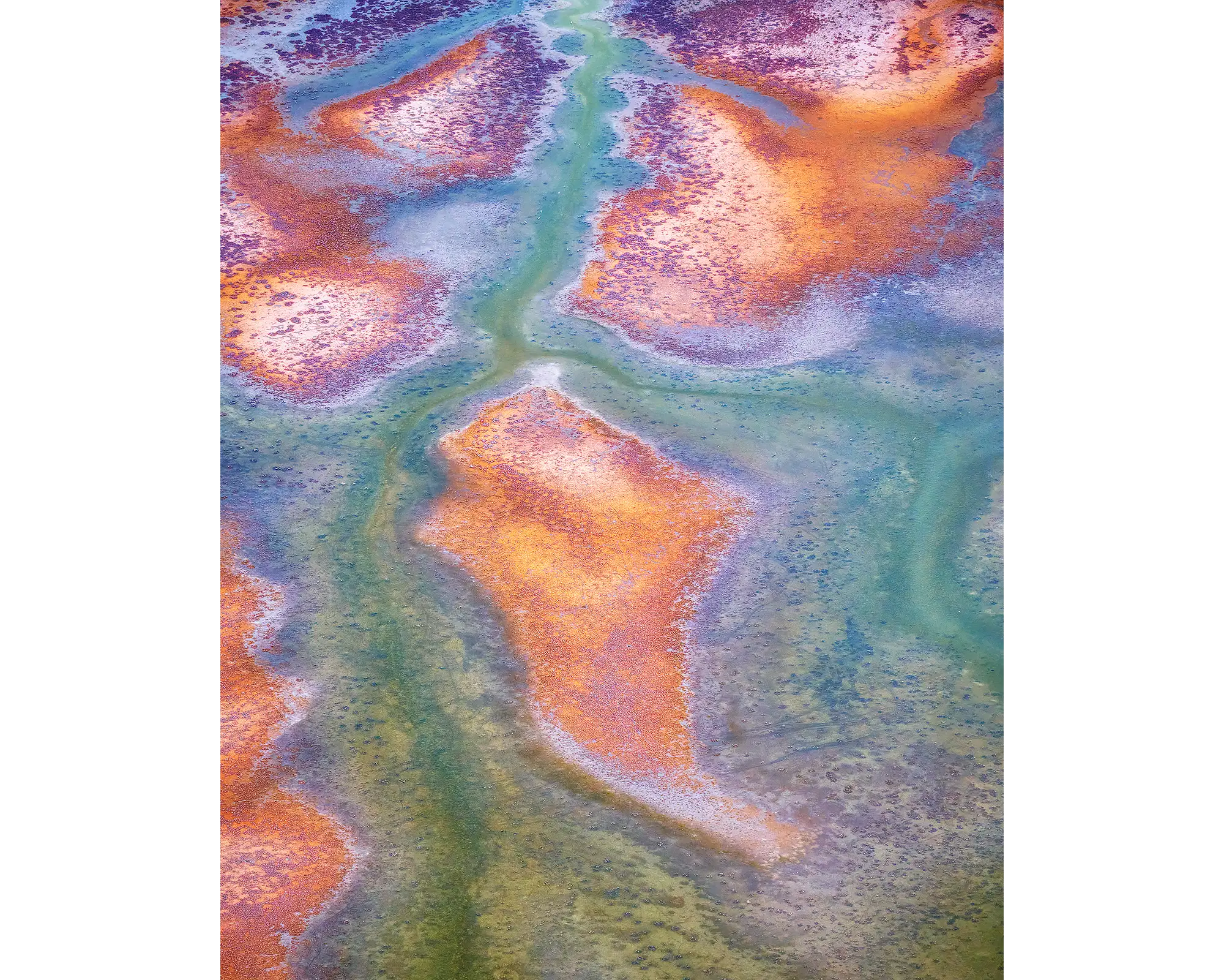 Surface - King tide viewed from above Roebuck Plains, The Kimberley, Western Australia.