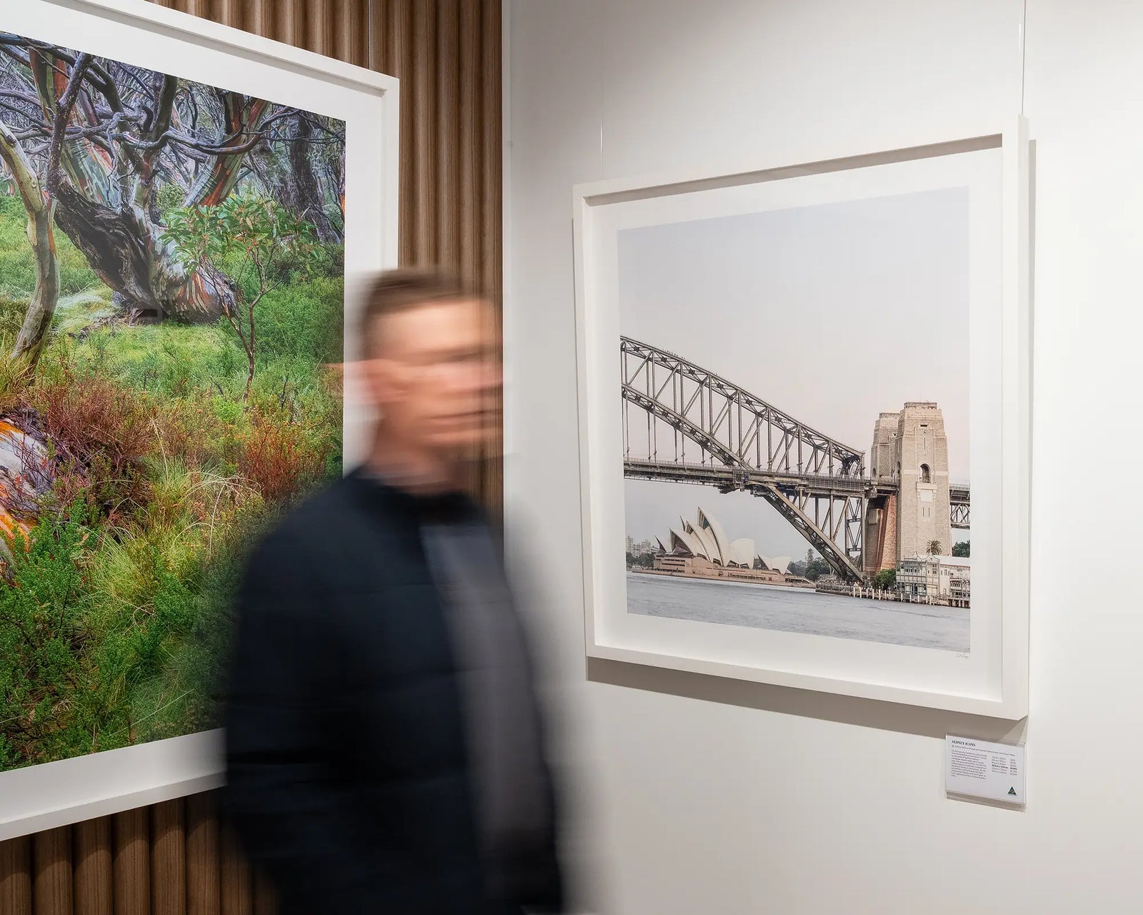 Framed photograph of the Sydney Harbour Bridge and Opera House on a light grey background.