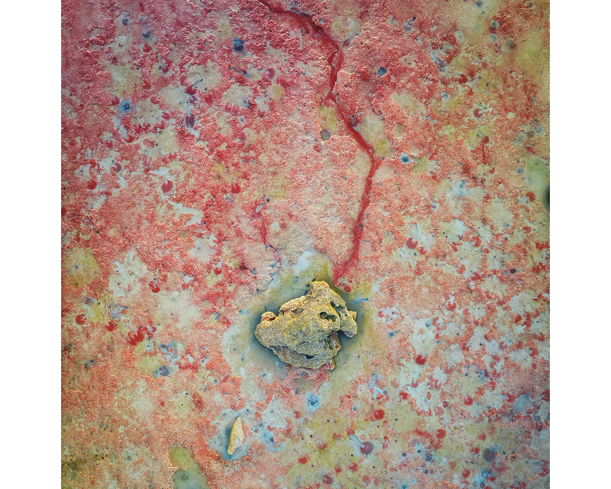 Tail End. Rock on red sand beach, Roebuck Bay, Western Australia.