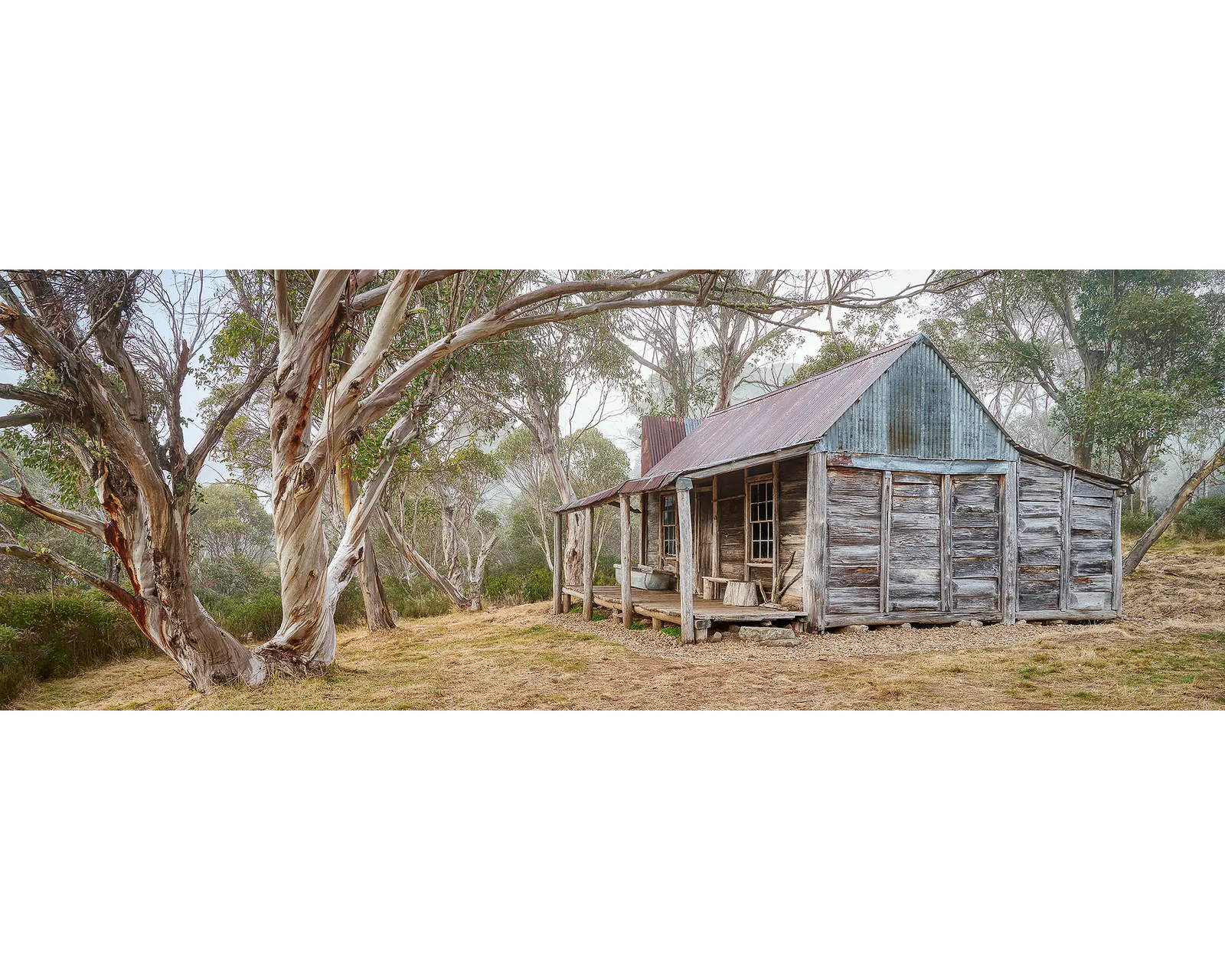 Tales Of The Stockman. Wheelers Hut with snow gums and fog, Kosciuszko National Park.