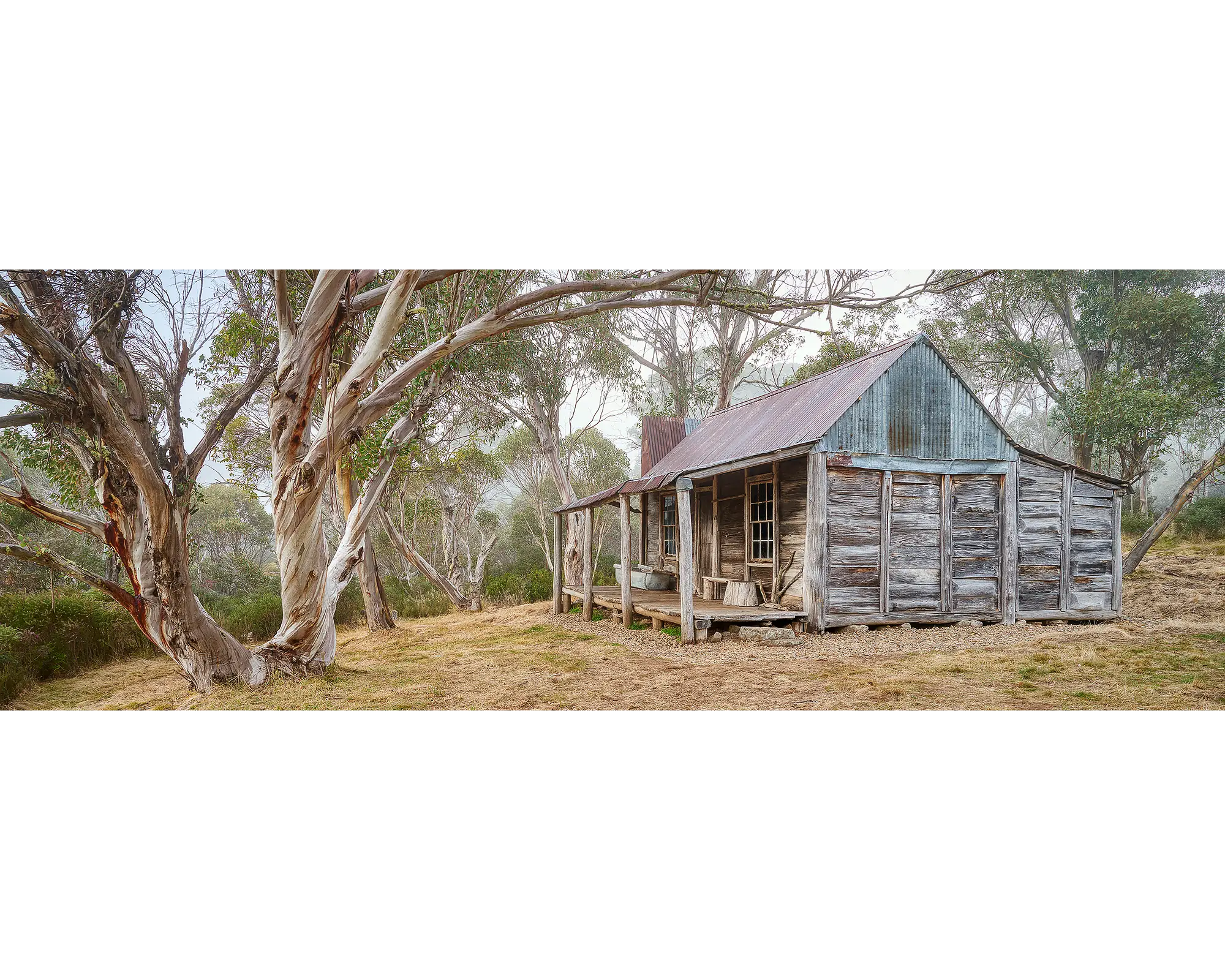 Tales Of The Stockman. Wheelers Hut with snow gums and fog, Kosciuszko National Park.