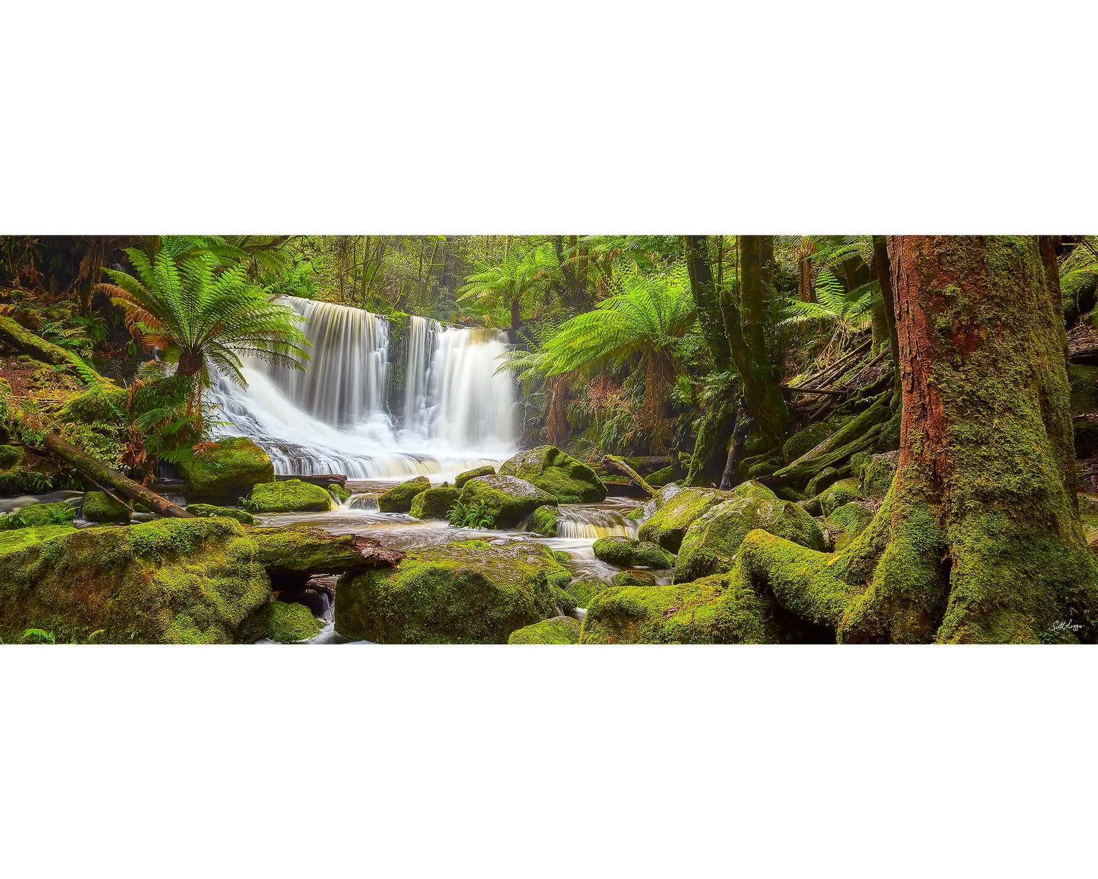 Tasmanian Escape. 1000 piece jigsaw. Box