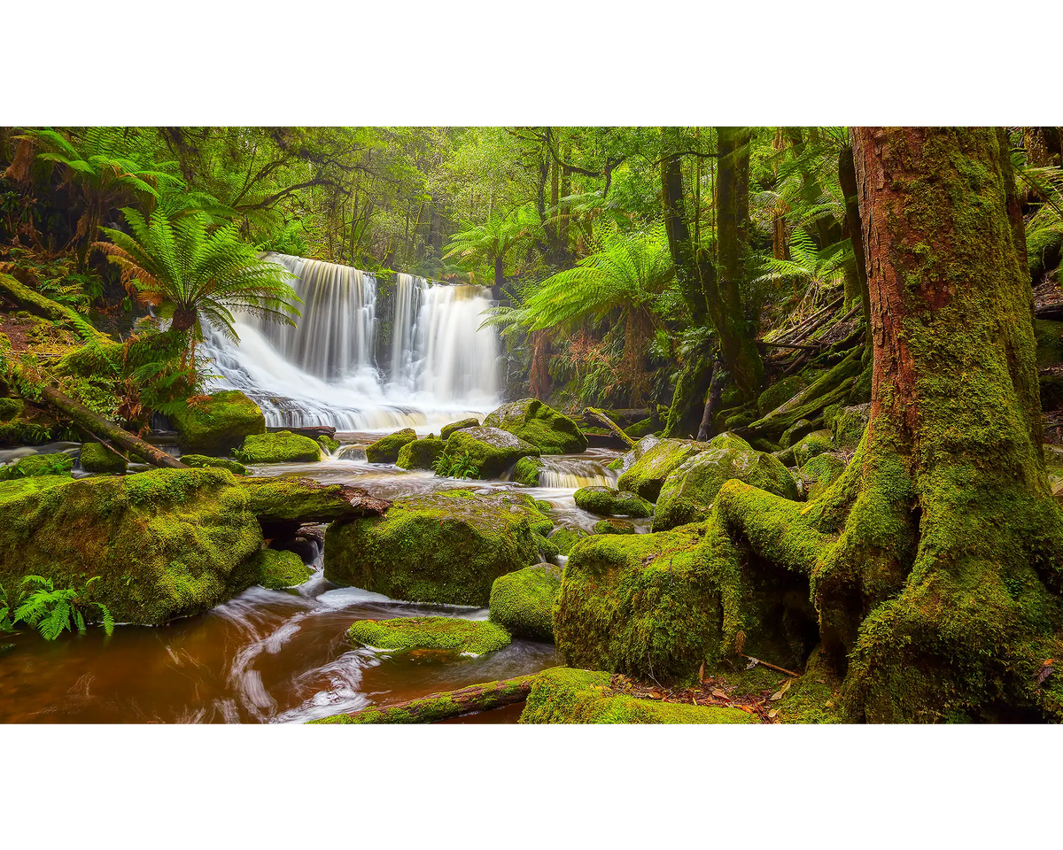 Tasmanian Escape - Horeshoe Falls, Mount Field National Park, Tasmania.
