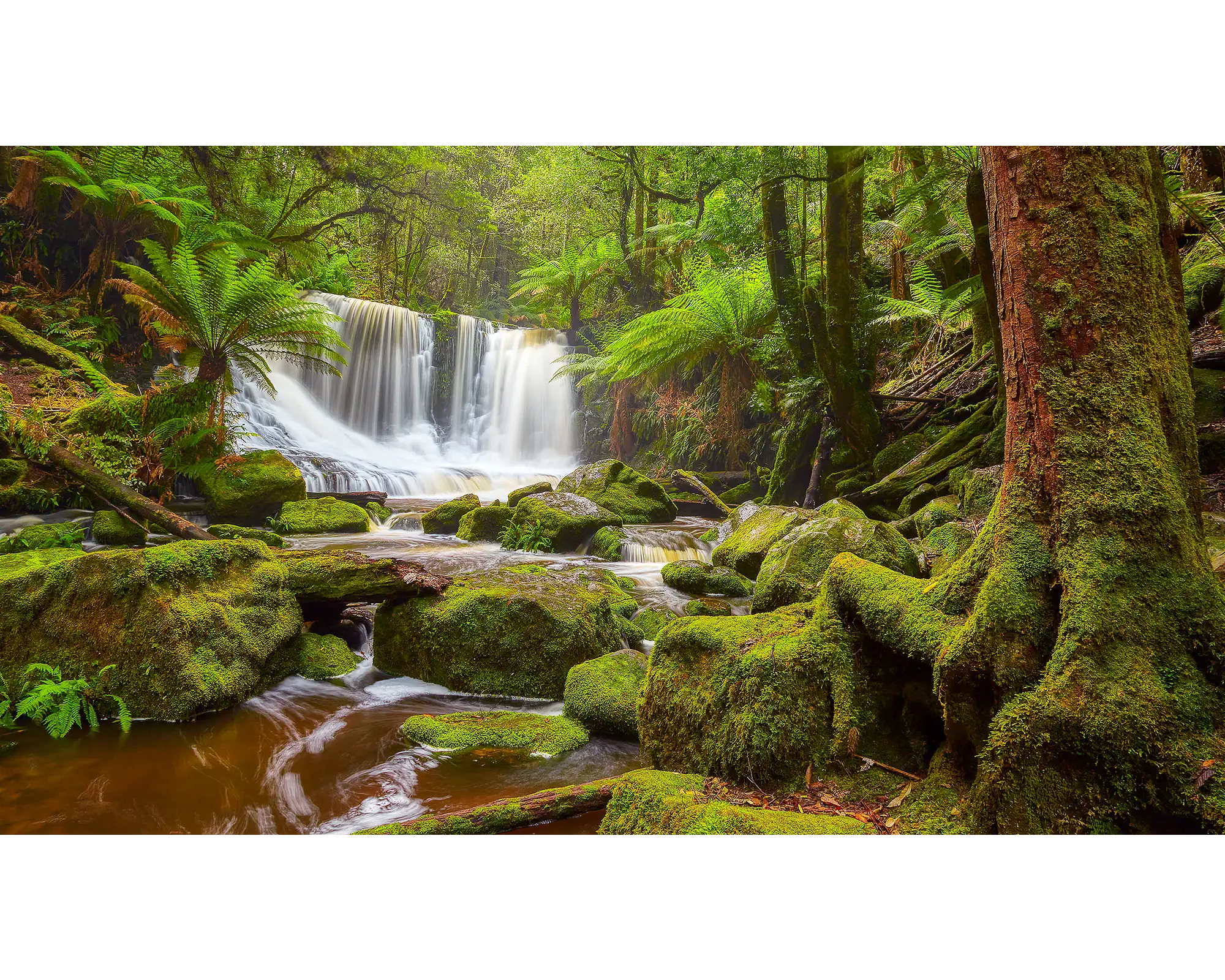 Tasmanian Escape - Horeshoe Falls, Mount Field National Park, Tasmania.