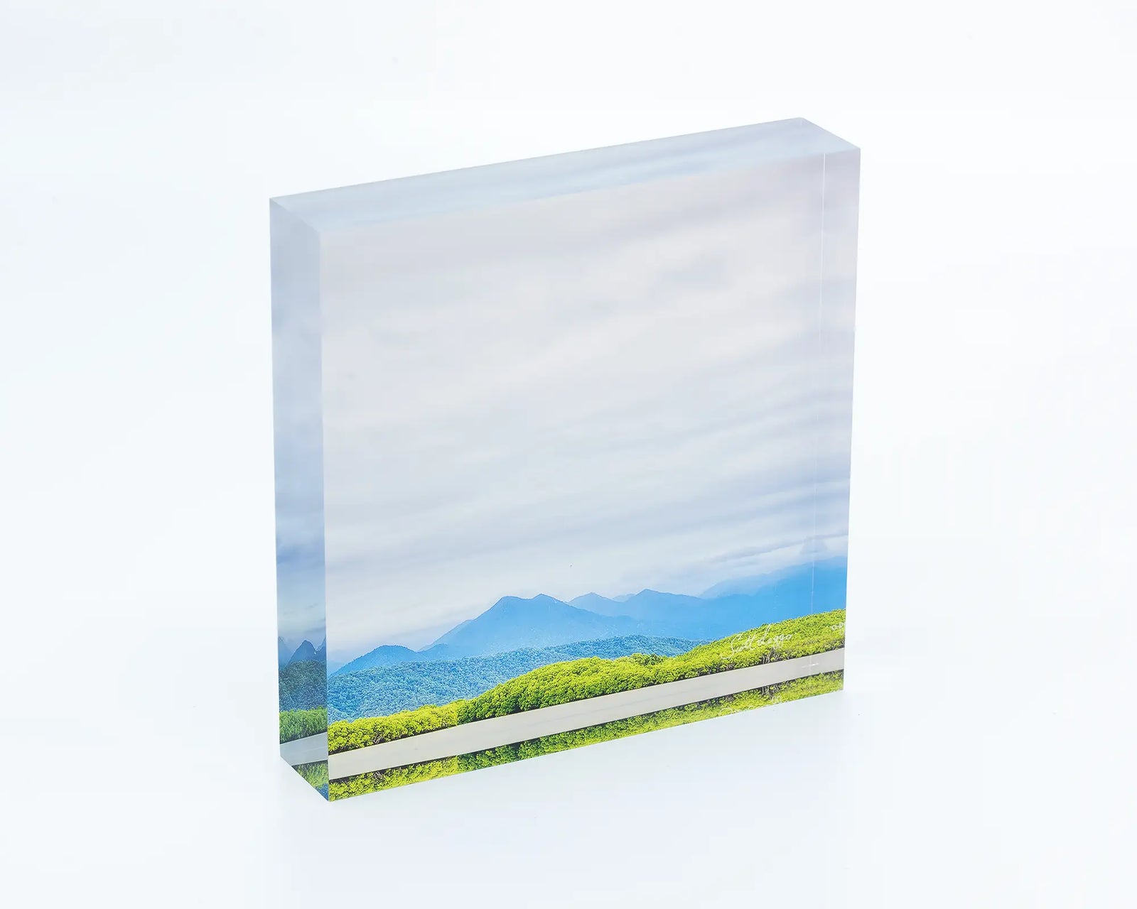 Temptation acrylic block displayed on a desk. 