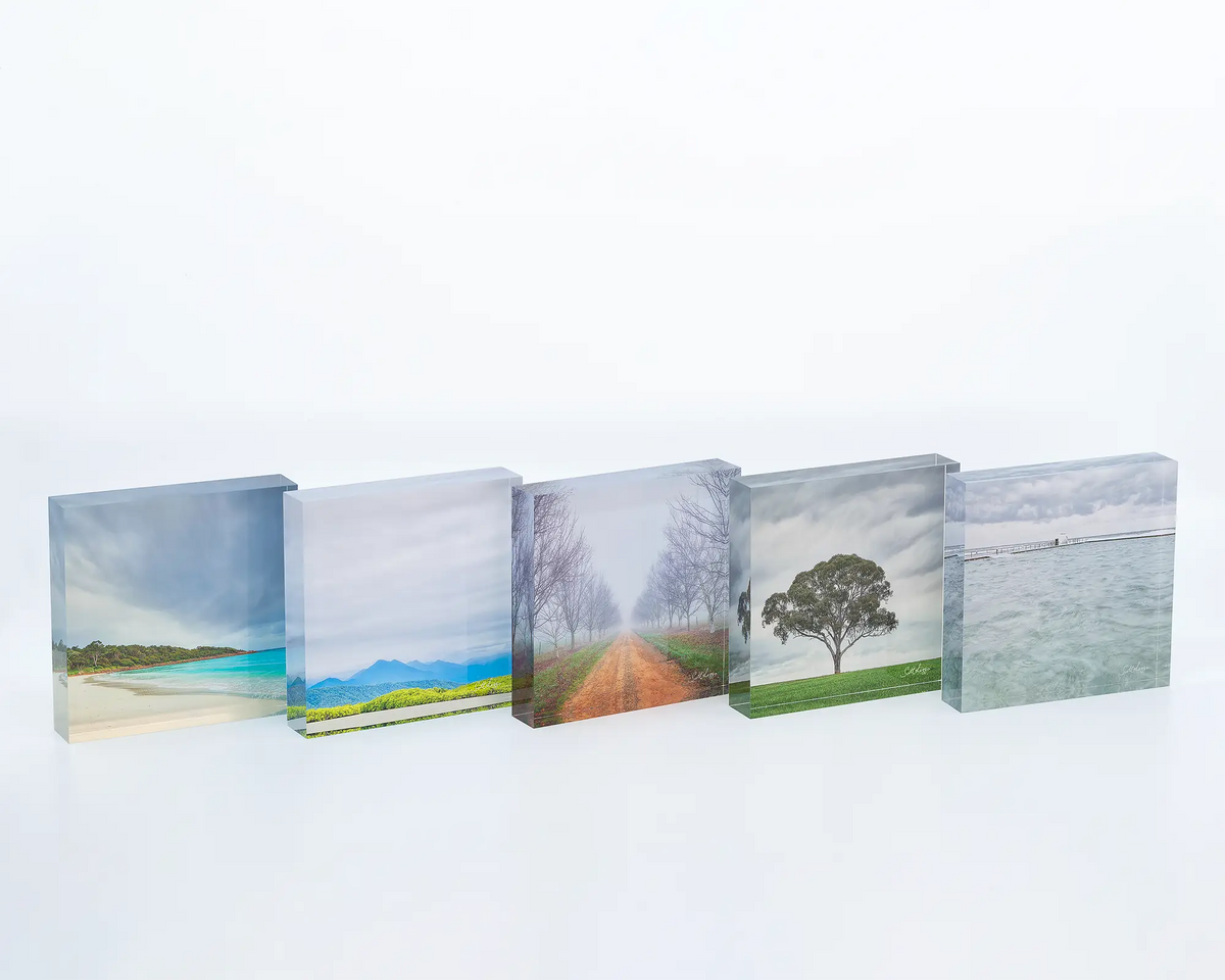 Temptation acrylic block displayed with other acrylic blocks.