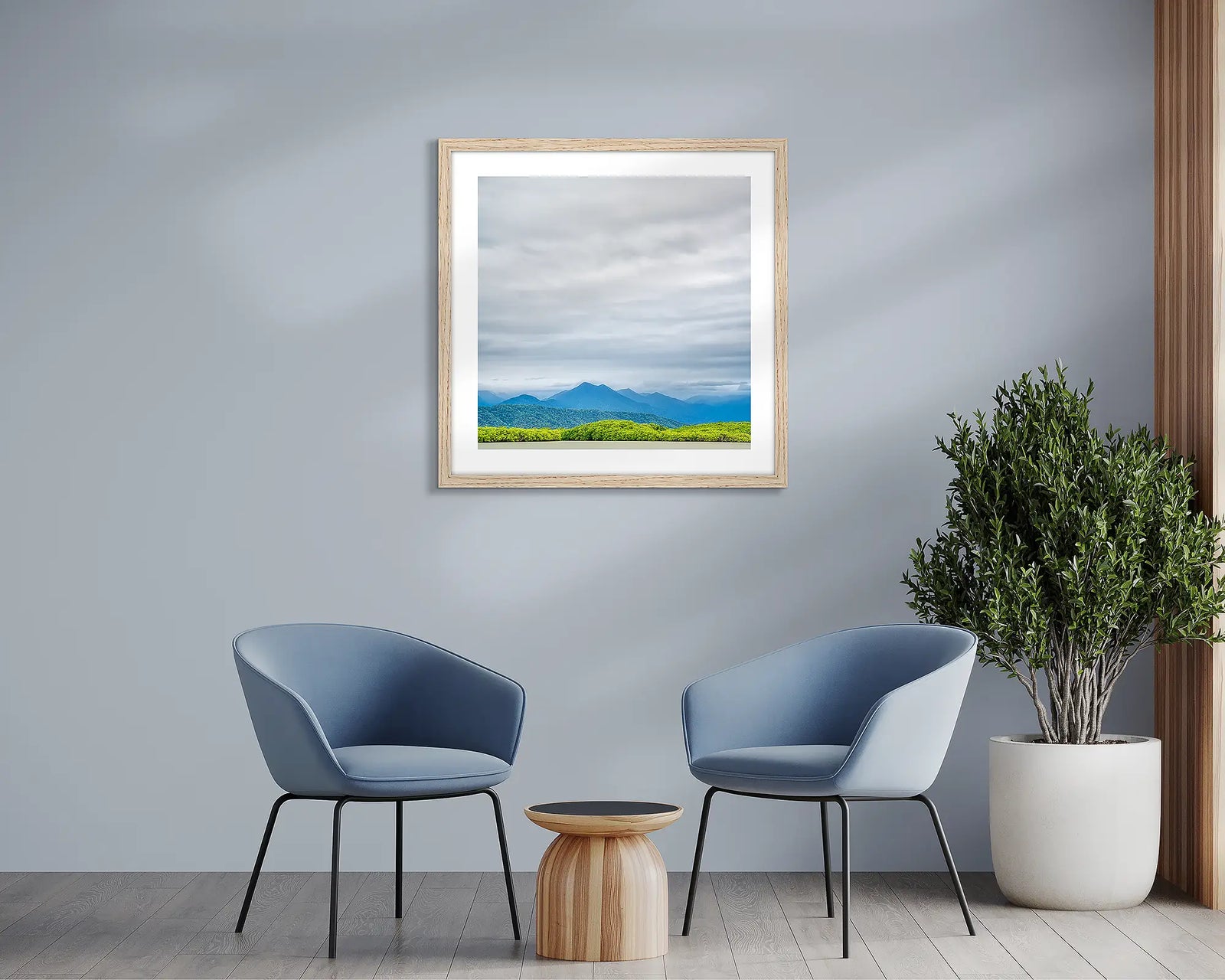 Mount Lewis National Park, Daintree rainforest, Queensland, Australia.