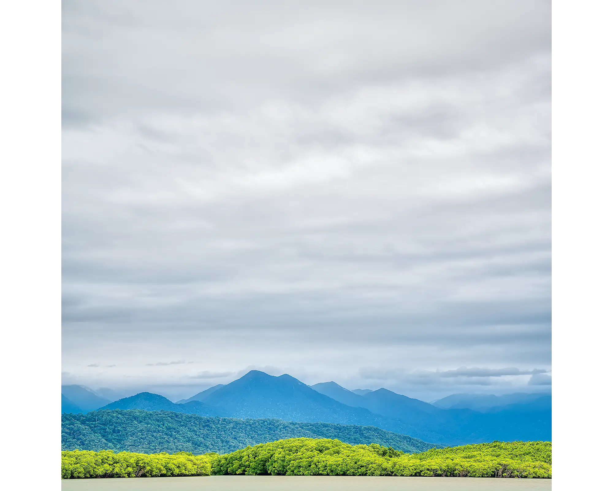 Mount Lewis National Park, Daintree rainforest, Queensland, Australia.