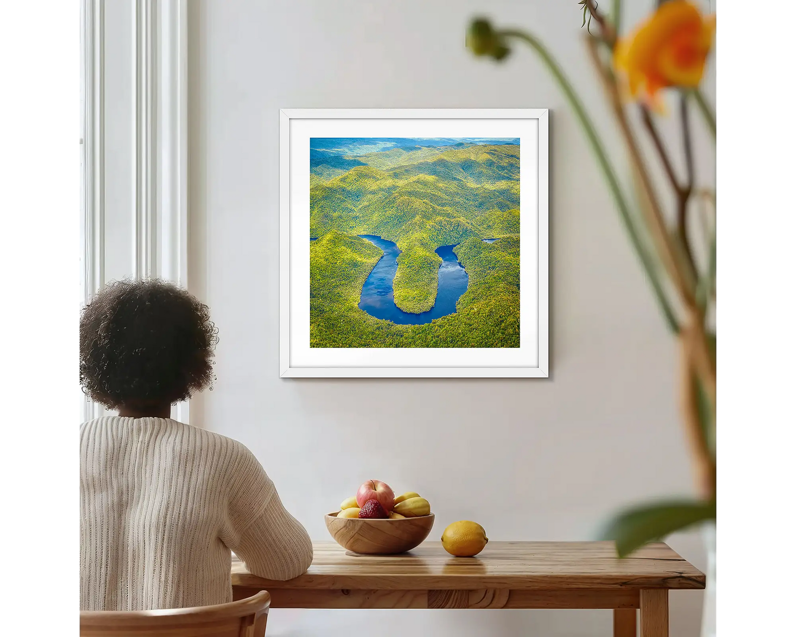 The Bend. Aerial view of Horseshoe Bend, Gordon River, Tasmania.