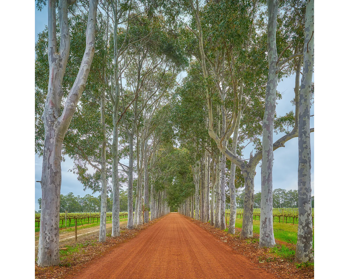 The Entrance - Driveway to providore, Margaret River.