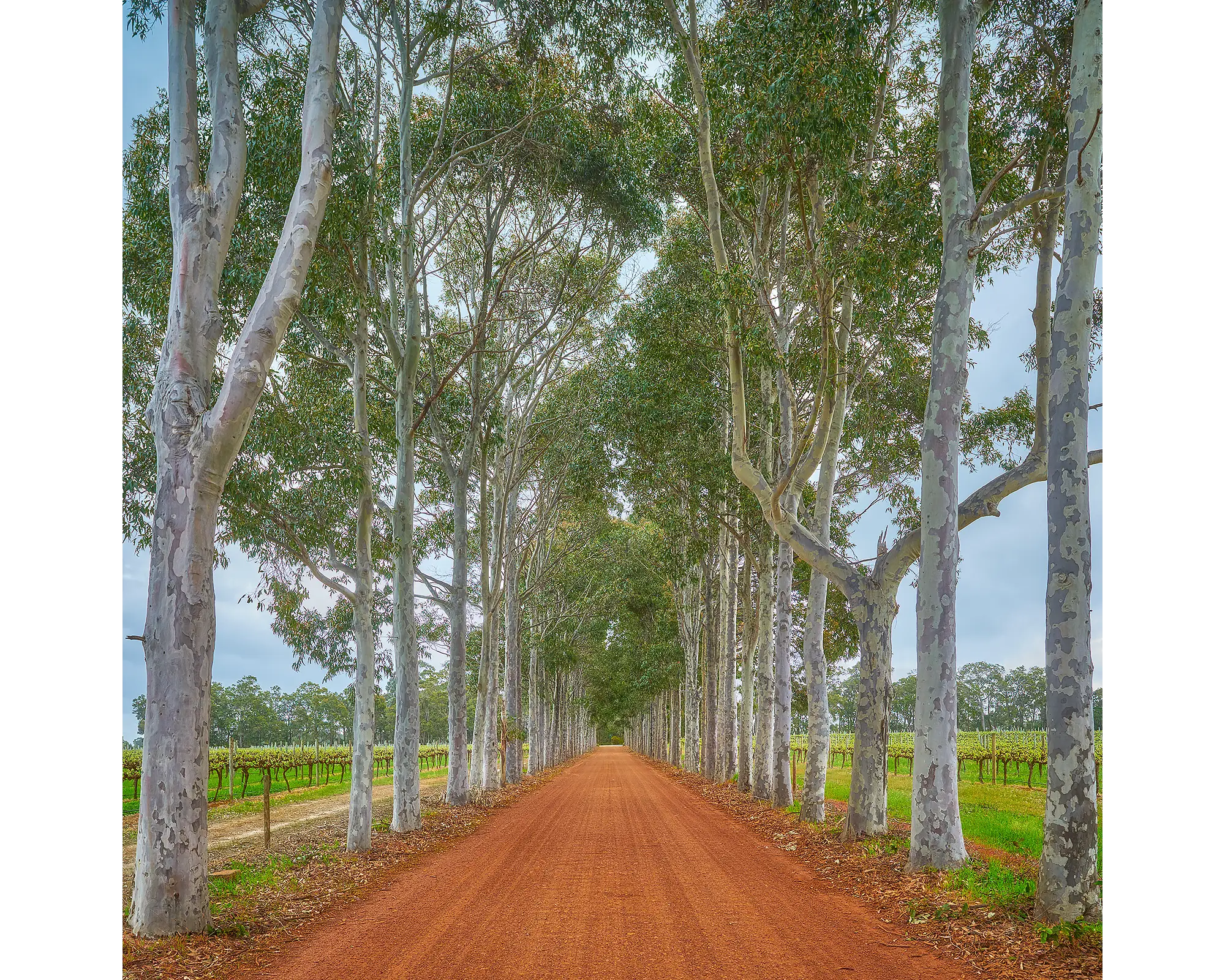 The Entrance - Driveway to providore, Margaret River.