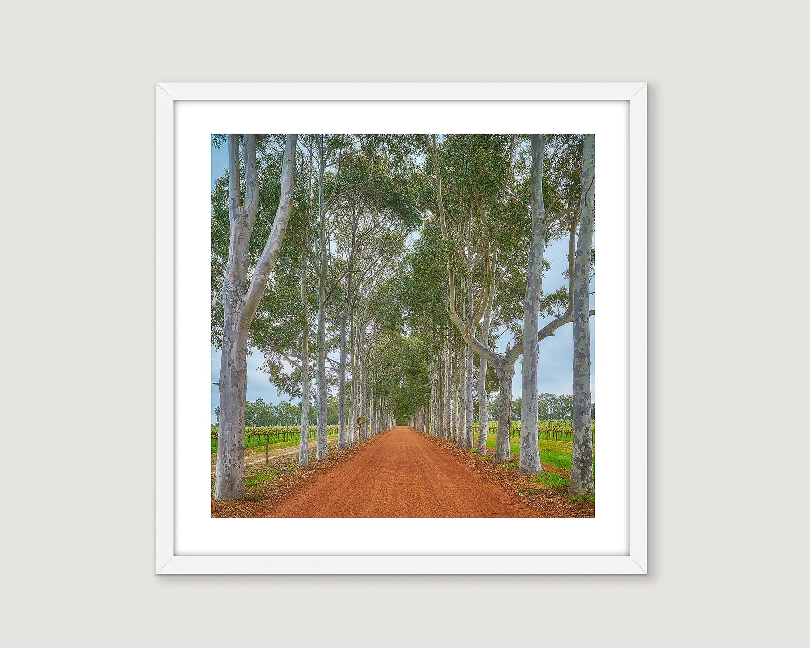 Framed artwork of a dirt road lined with trees and a vineyard.